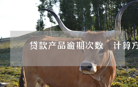 贷款产品逾期次数 计算方式 贷款产品逾期次数 计算方式